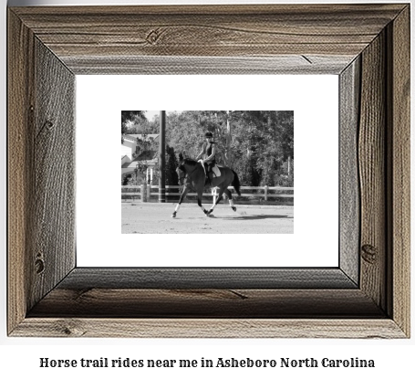 horse trail rides near me in Asheboro, North Carolina